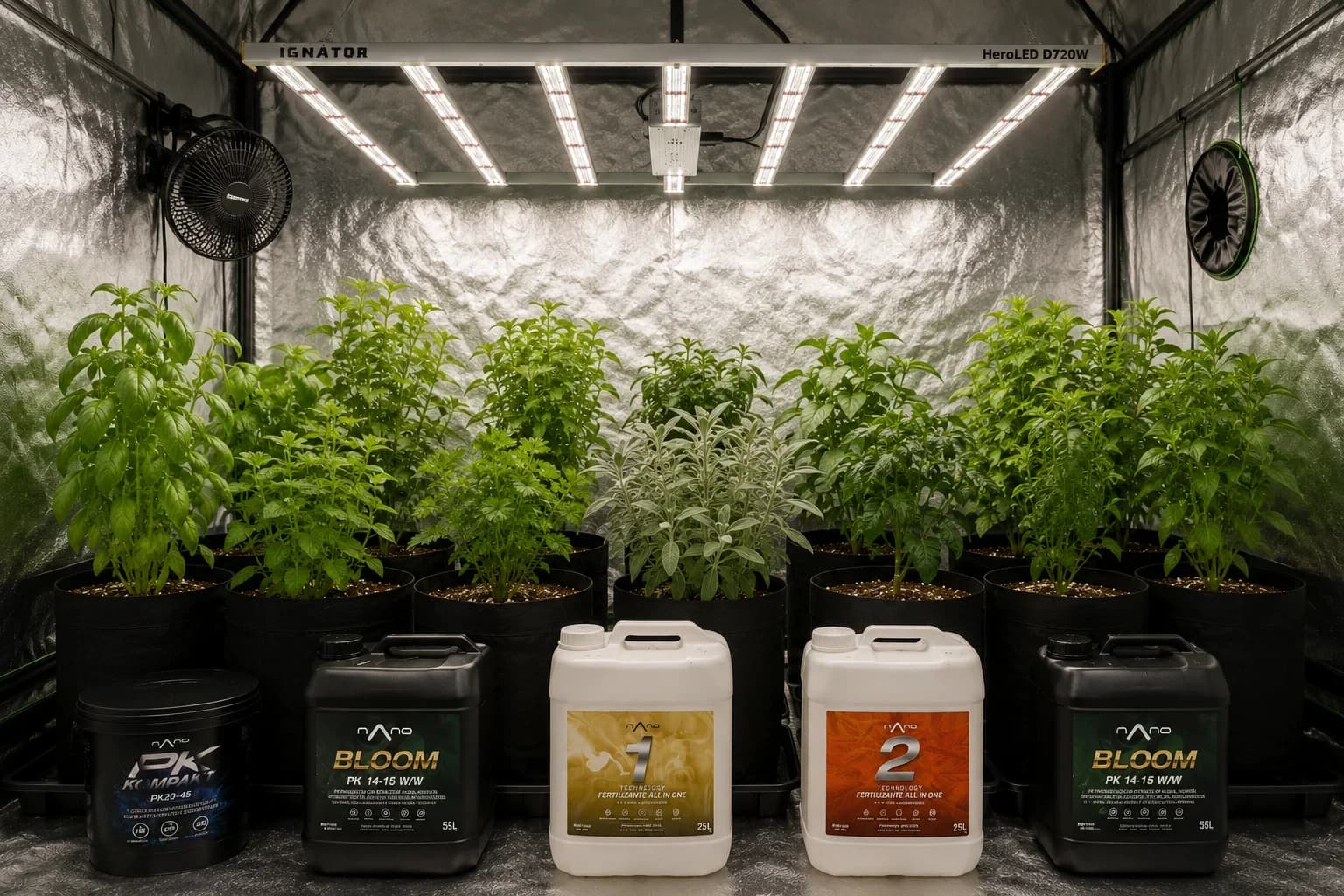 Nutrición en floración: cómo engordar las flores sin quemar la planta